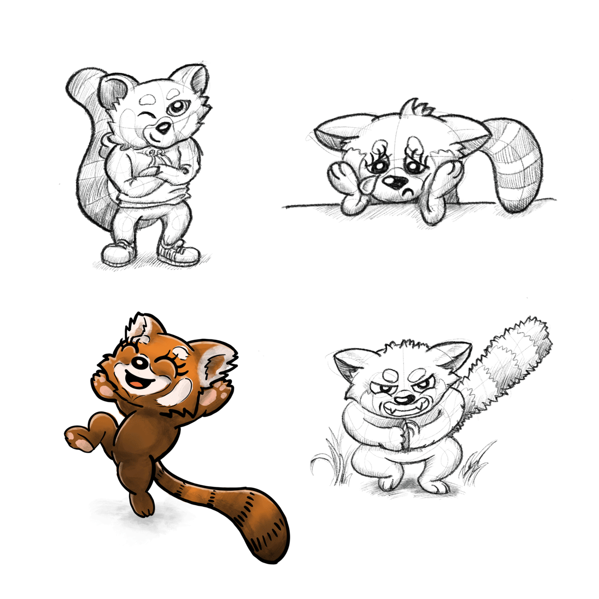 Character Design Entwurf Roter Panda