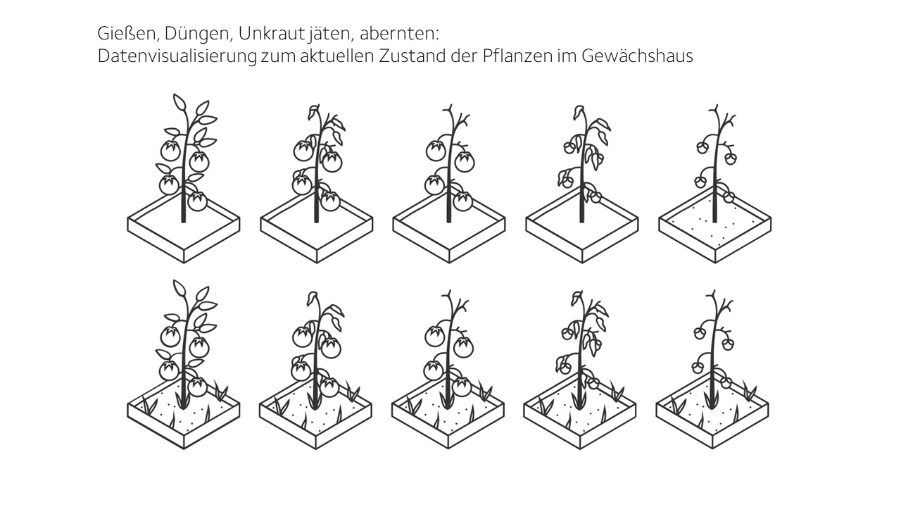 App Zustände des Pflanzenwachstums